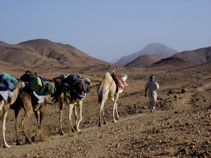 Algérie - Rencontre des directeurs du tourisme et de l'artisanat: Comment mettre le tourisme à l'abri de l'improvisation?