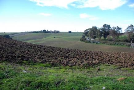 إدماج القطاع الغابي في الاستثمار بعنابة تطبيقا للمخطط الوزاري