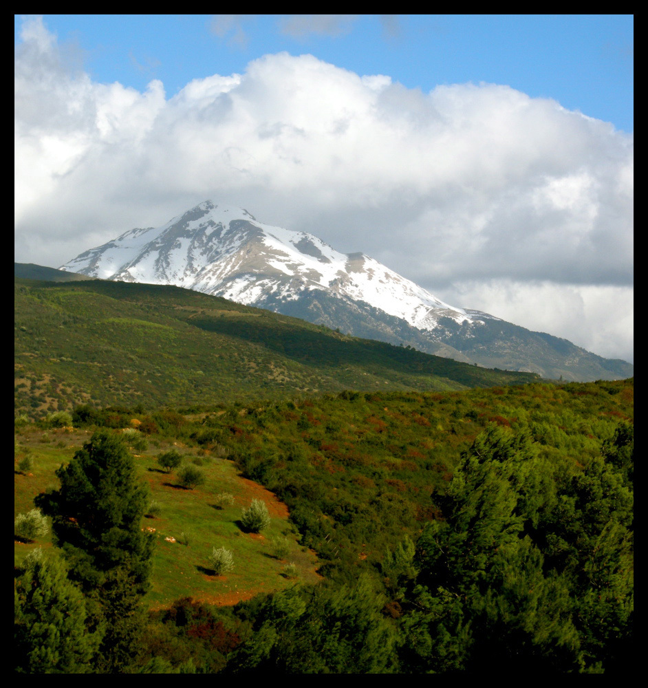 Randonnée pédestre à Chréa (Blida): C'est bon pour la santé et le tourisme!