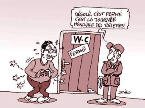 Journée internationale des toilettes : ça existe !