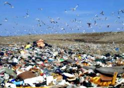 نقل 2300 طن من الفضلات يوميا إلى مفرغة بومرداس لحماية العاصمة من كارثة               وادي السمار مهدد بالفيضان خلال 3 أشهر