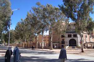 مؤسسة صينية تطرد 37 عاملا جزائريا بالأغواط