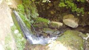 عيون ومنابع تسالة لمطاعي بميلة.. ثروة طبيعية لا تنضب