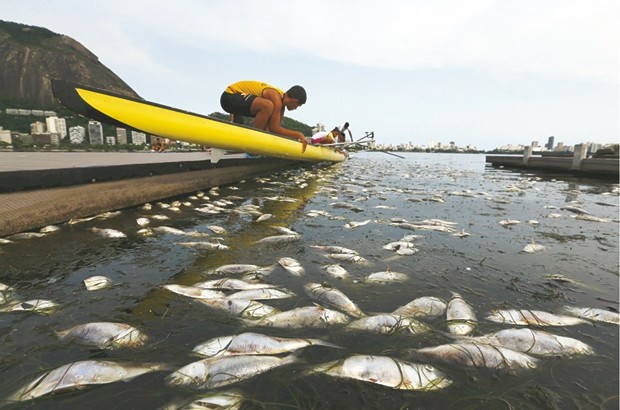 Quelle part jouera l'exigence environnementale '