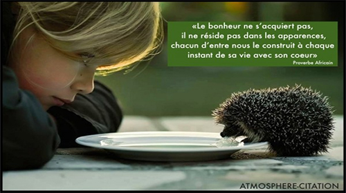 Les animaux dans les proverbes populaires arabes