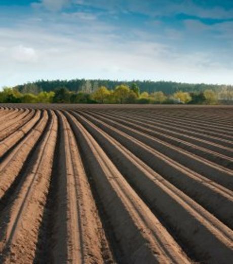 Planète - Un système de production alimentaire à revoir pour nourrir la planète entière