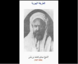 سيدي الشيخ محمد بن يلس