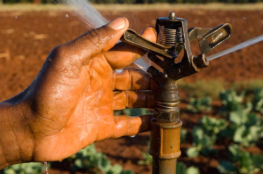 La sécurité alimentaire est en jeu: Le manque d'eau guette l'agriculture algérienne