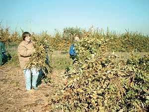Oran - La thérapie par le travail: Des postes d'emploi pour 10 déficients mentaux