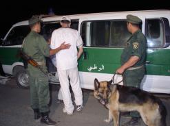 خسائر كبيرة لشركات التأمين عصابات سرقة السيارات تعود إلى نشاطها الإجرامي بعنابة