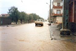 3 حوادث مرور بالبيض وعائلات منكوبة ونفوق قطعان الماشية في ڤالمة               العواصف والأمطار الطوفانية تعزل العديد من الولايات وتدفع المواطنين للخروج إلى الشارع