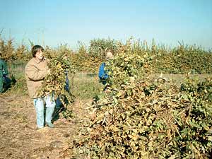 Oran - La thérapie par le travail: Des postes d'emploi pour 10 déficients mentaux