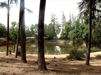 Constantine - Le parc de Djebel Ouahch cherche repreneur