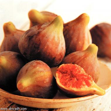 فاكهة وأوراق شجرة التين ...والعلاج الطبيعي لمرض '' البواسير ''