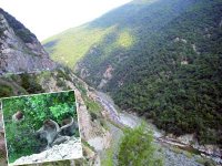 Le joyau naturel de la Chiffa