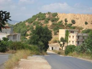 Oran - Zones forestières: Plus de 5000 constructions illicites recensées