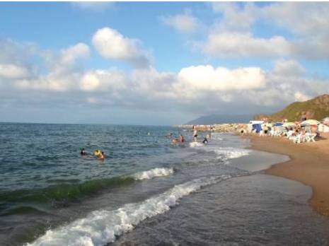 Ils se font attendre, les aoûtiens !