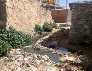 نفايات مطامير مكشوفة و أمراض منتشرة بالأحياء القصديرية بتيارت