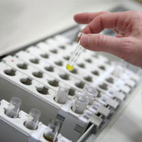 L'Algérie dispose d'un réservoir important de jeunes chercheurs