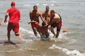 Le maître nageur sauve une vie avant de mourir