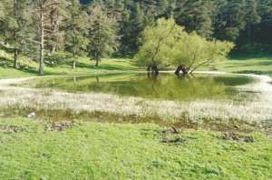 Un paradis au pied de l'Ouarsenis