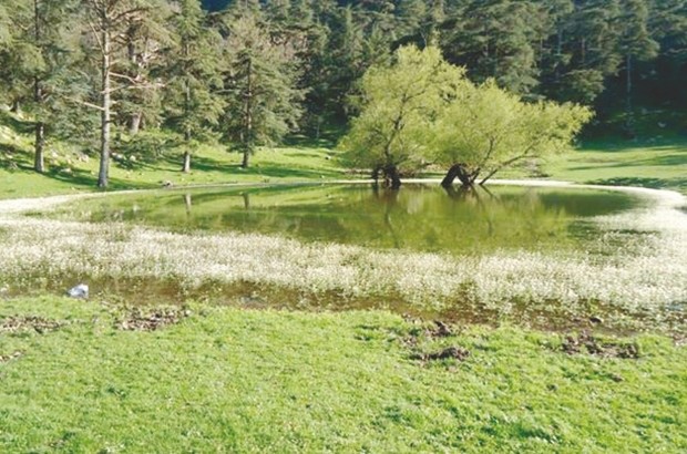 Un paradis au pied de l'Ouarsenis