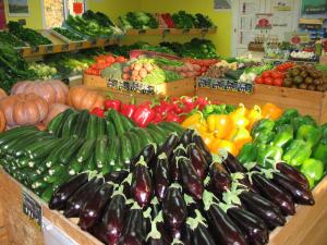 Biskra - Il se tiendra du 19 au 21 décembre prochains: Un Salon dédié à l'agriculture saharienne et steppique