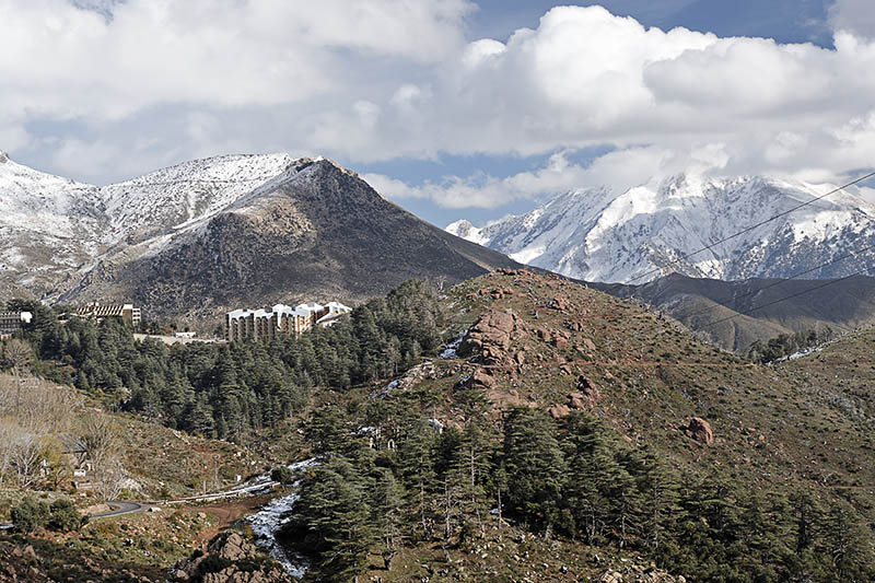 Premières journées pharmaceutiques de Bouira: La problèmatique du médicament en débat