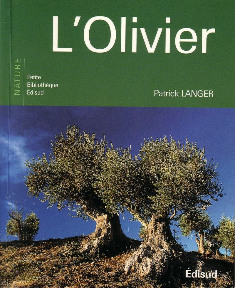 Aghbalou (Bouira) - Les agriculteurs protestent pour le développement de la filière oléicole