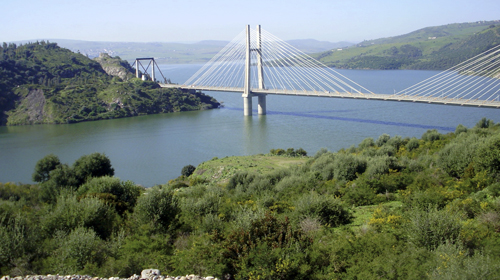 Quand le rêve caresse la réalité