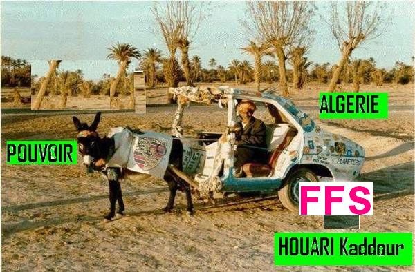 election legislative 2012 a chlef