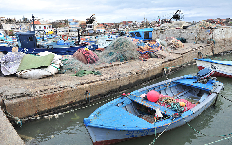 مواجهات بين صيادين من الشلف وآخرين من تيبازة في ميناء المرسى