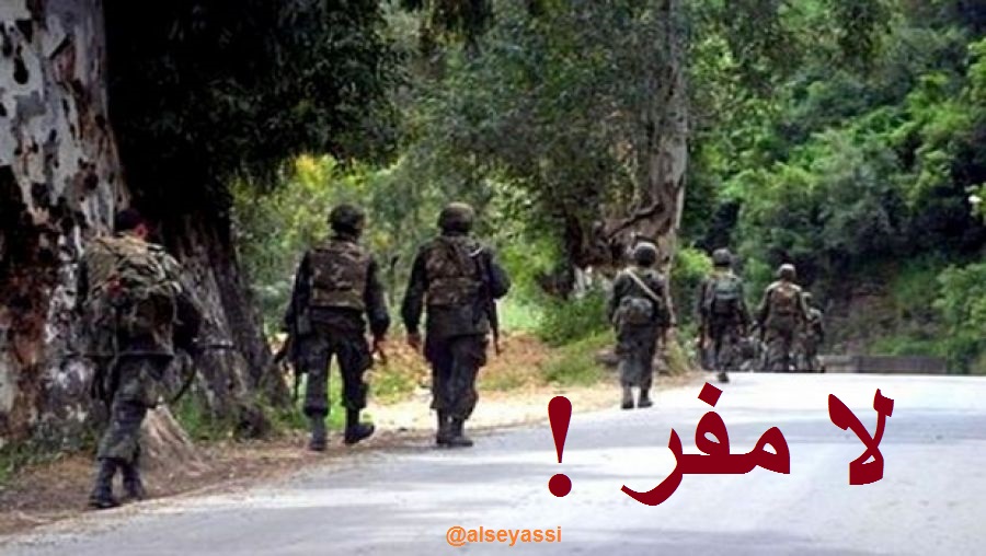 حجز كمية معتبرة من الزطلة في بشار