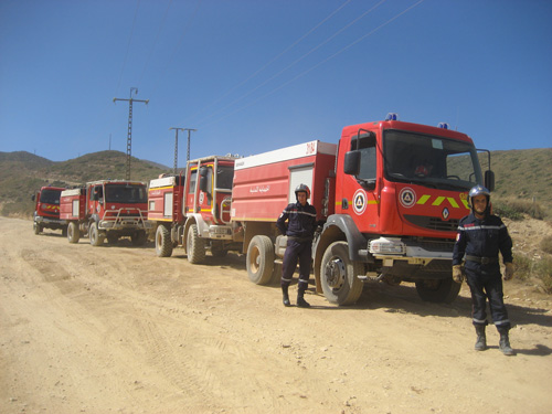200 عون بمحافظة الغابات و عتاد قديم لحماية 220 ألف هكتار من المساحة الغابية بتلمسان