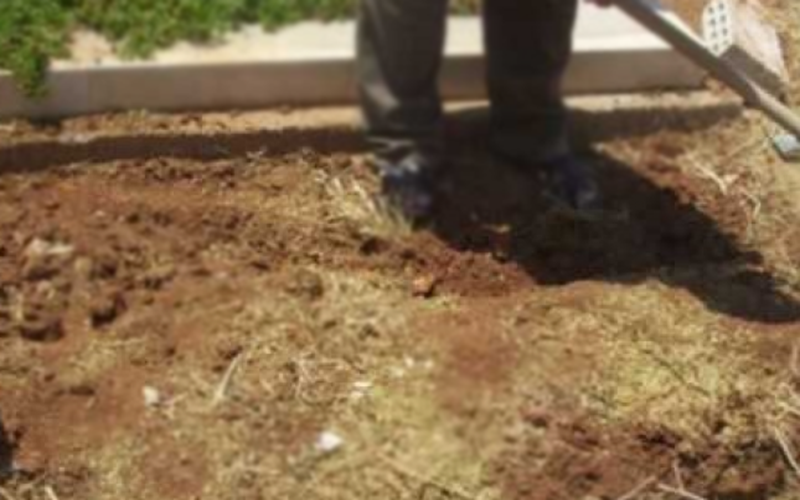 ضبط عجوز تقوم بنبش القبور في جيجل