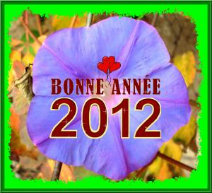 VOEUX DE BONNE ANNEE 2012