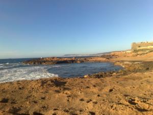 Mostaganem - Catastrophe écologique à Stidia plage