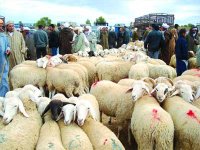 Le prix du mouton abordable