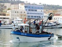 Entre les plaisirs de la gastronomie et la découverte du monde des pêcheurs