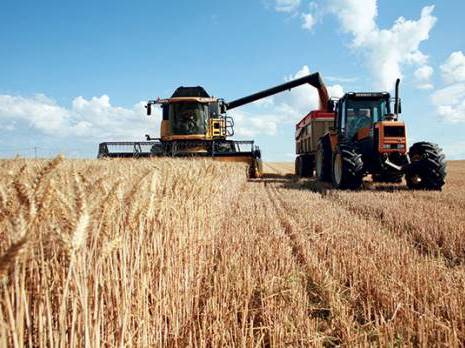 Une première estimation d'environ 40 millions de quintaux