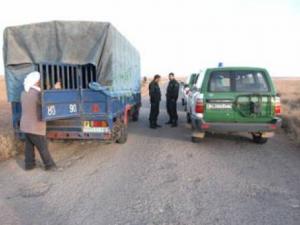 Cinq tonnes de kif saisies à Souahlia