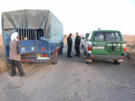 Cinq tonnes de kif saisies à Souahlia