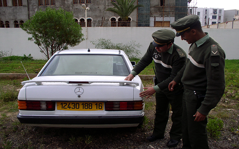 تفكيك شبكتين مسلحتين تحترفان سرقة السيارات والماشية في تلمسان