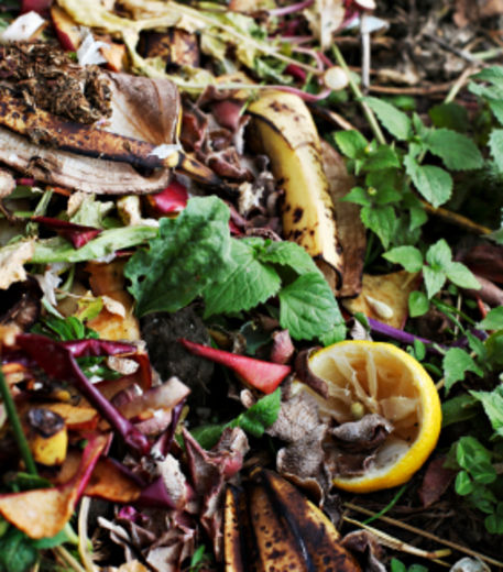 Planète - Pakistan: des déchets source d'énergie pour les ménages