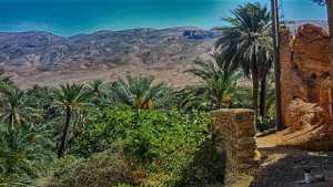 الدشرة الحمراء الجسر الآخر لمدينة القنطرة في بسكرة