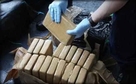 حجز أكثر من 270 كلغ من القنب الهندي بندرومة بتلمسان