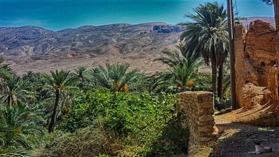 الدشرة الحمراء الجسر الآخر لمدينة القنطرة في بسكرة