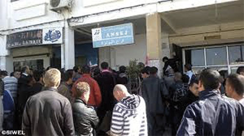 59% des projets Ansej initiés par des diplômés de la formation professionnelle