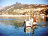 CHLEF : Disparition d'El-Khalil à TENES '' Les corps de trois autres marins retrouvés sur les rivages d’Alger ''