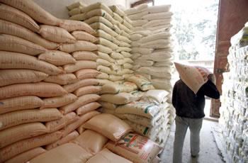 PAPILLON SEMOULE  '' Celui qui controle la mastication à le pouvoir '